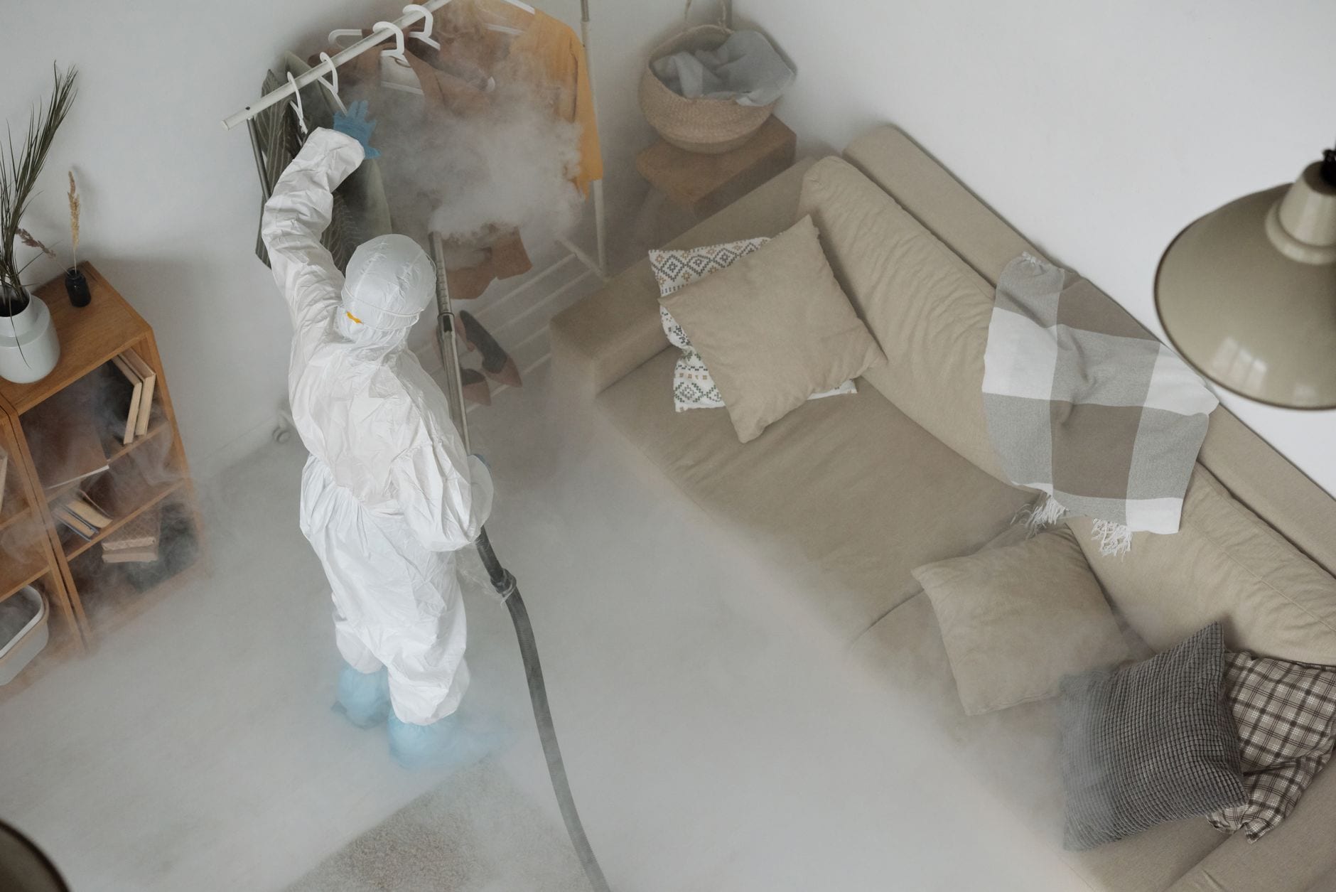 Home and commercial pest control in Sydney