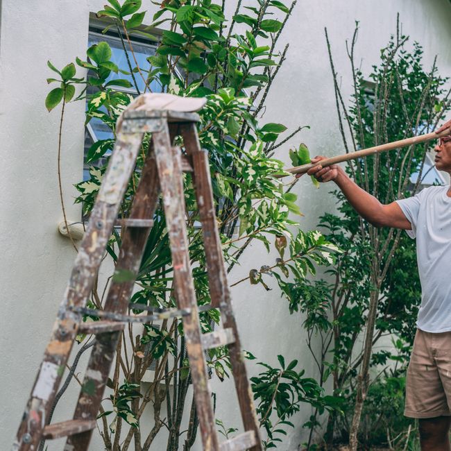 Tradesperson applying paint to a rendered exterior facade
