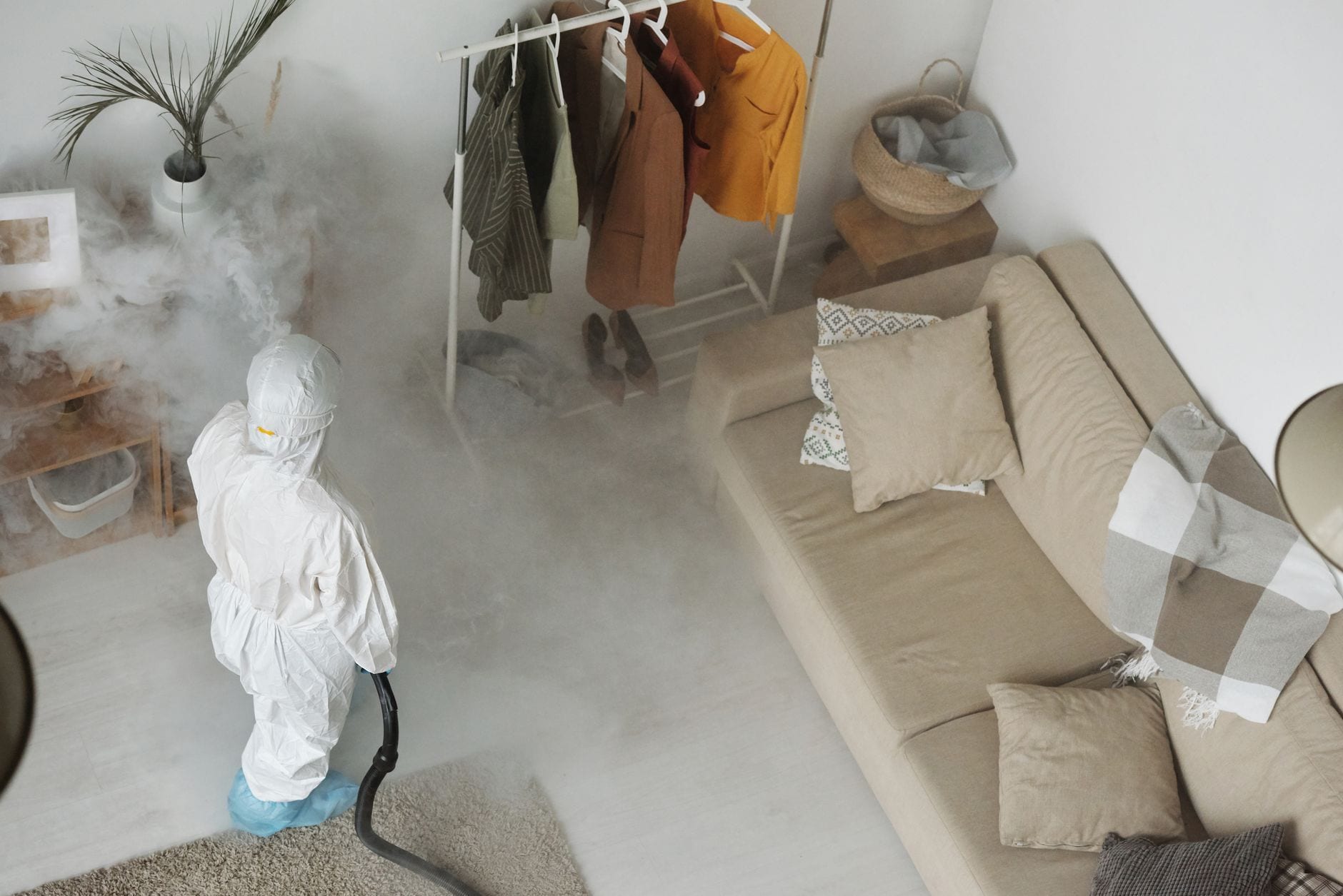 A pest treatment being applied